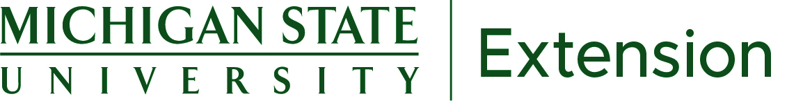 extension logo